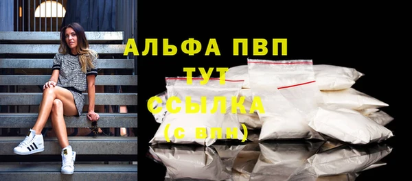 спиды Сосновоборск