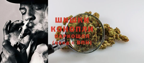 спиды Сосновоборск