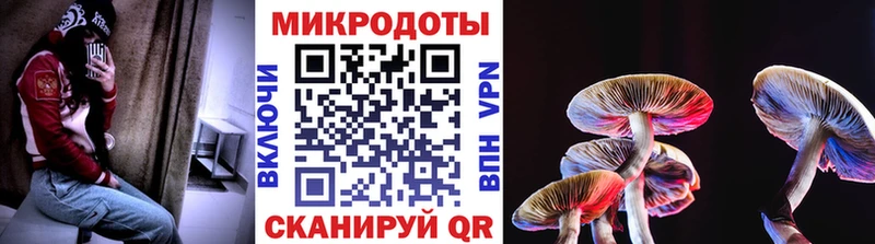 Псилоцибиновые грибы Psilocybe  что такое   OMG маркетплейс  Назрань 