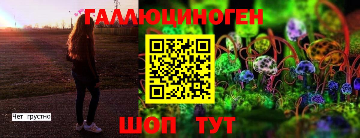 Псилоцибиновые грибы Psilocybe Назрань