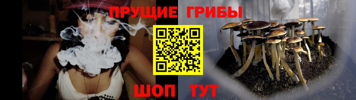хочу   Вход с VPN  Назрань  Галлюциногенные грибы MAGIC MUSHROOMS  Галлюциногенные грибы прущие грибы 
